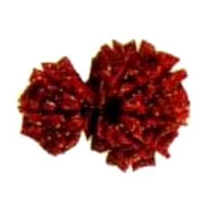 Rudraksha 